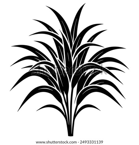 Napier grass vector illustration editable project.