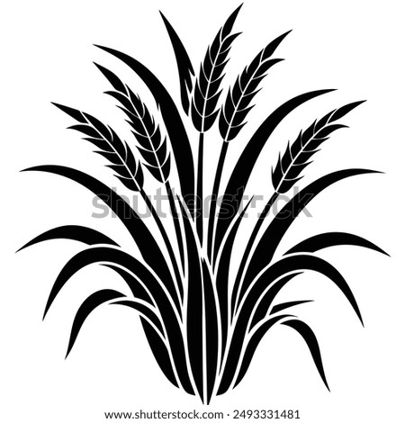 Napier grass vector illustration editable project.