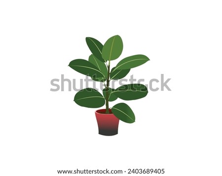 Green Banyan Plant, vector,Banyan tree in flat style isolated on white background Pro Vector For Plantation Banyan Tree Dwarf - Ficus Benghalensis, Wadh, Bargad Tree Banyan tree vector illustration