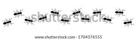 Insect Insects ant ants emmet pismire banner. Vector icon icons sign signs fun funny