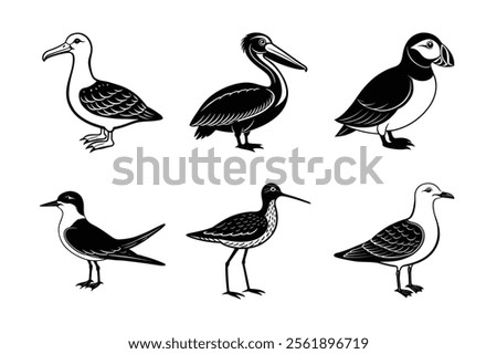 Image, Stock Photo Terns and pelicans birds