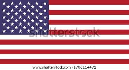 United States flag national emblem graphic element Illustration template design