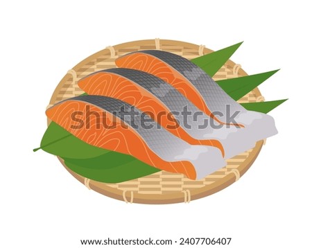 Illustration of salmon fillet on a colander