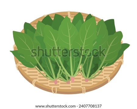 Illustration of spinach on a colander