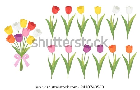 Set of tulips vector illustration