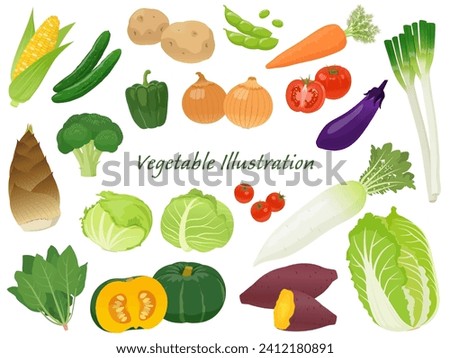 Set of vegetables vector illustration