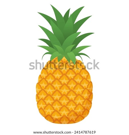 Vector illustration of pineapple fruit