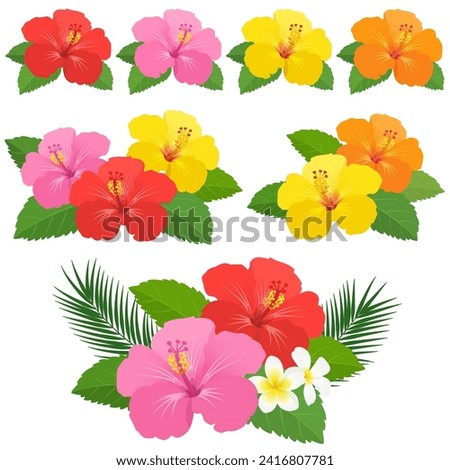 Hibiscus set vector illustration material