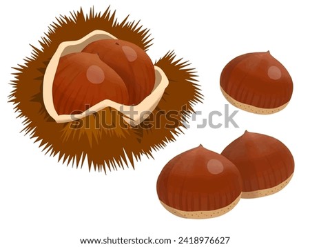 Chestnut vector illustration autumn taste