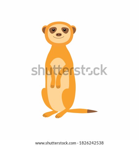 Cute meerkat. Vector illustration isolated on white background.