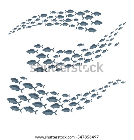 Shoal of sea fish swimming in group underwater in the ocean. Vector image isolated on white background