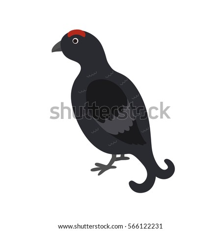 Black grouse vector illustration for children