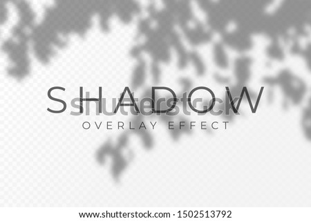 Shadow overlay effect. Transparent soft light and shadows from plant branches, leaves and foliage. Mockup of transparent shadow overlay effect and natural lightning. Vector Foto stock © 