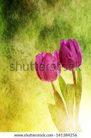 Tulip flowers on the  green grunge  textured background with bokeh
