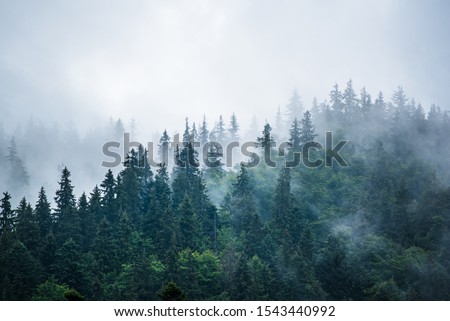 Similar – Image, Stock Photo summiteers Weather Clouds