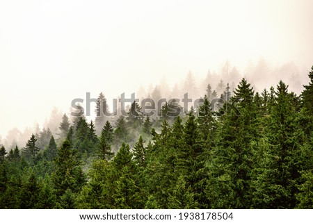 Similar – Image, Stock Photo summiteers Weather Clouds