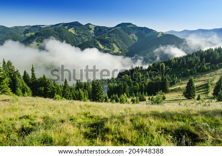 Foggy morning shiny summer landscape with mist and blue sky