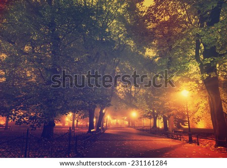 European city park with benches at night in autumn, vintage background