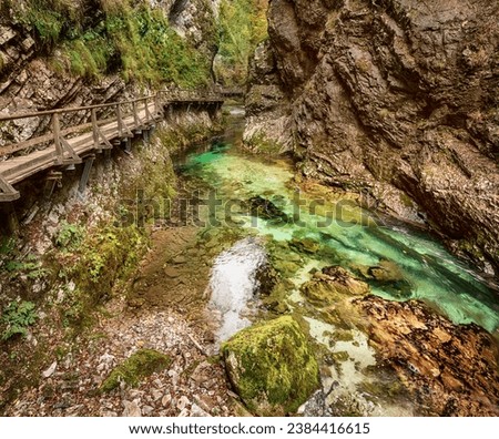 Similar – Image, Stock Photo Vintgar Gorge wooden path and beautiful Radovna river