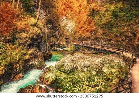 Similar – Image, Stock Photo Vintgar Gorge wooden path and beautiful Radovna river