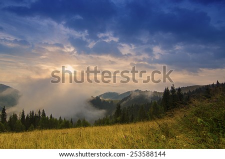 Foggy morning shiny summer landscape with mist, golden meadow and sun shining