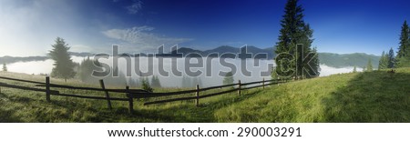 Foggy morning panoramic shiny summer landscape with mist