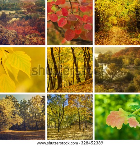 Collection from different kinds of autumn seasonal  backgrounds