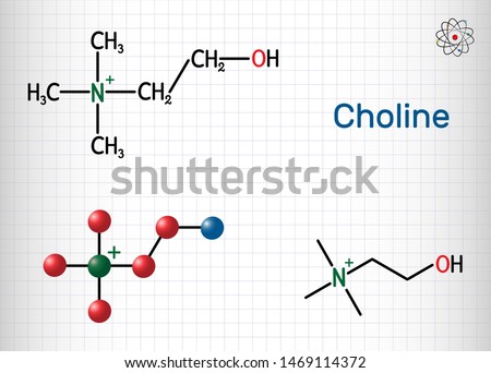Choline vitamin-like essential nutrien molecule. It is a constituent of lecithin. Structural chemical formula and molecule model. Sheet of paper in a cage. Vector illustration