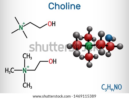 Choline vitamin-like essential nutrien molecule. It is a constituent of lecithin. Structural chemical formula and molecule model. Vector illustration