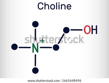 Choline,  C5H14NO+.vitamin-like essential nutrien molecule. It is a constituent of lecithin. Structural chemical formula and molecule model. Vector illustration