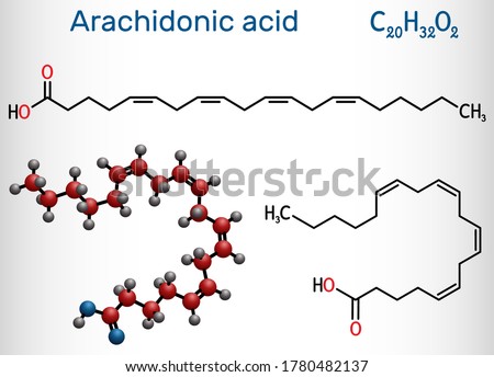 Arachidonic acid, AA, ARA molecule. It is unsaturated omega-6 fatty acid, is precursor in biosynthesis of prostaglandins, thromboxane, leukotrienes. Structural chemical formula, molecule model. Vector