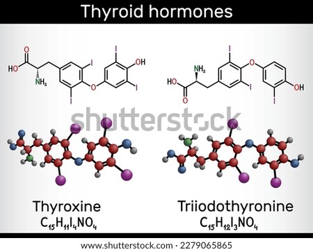 Thyroid hormones: Triiodothyronine (T3, levothyroxine) and Thyroxine (T4) molecule. Used to treat hypothyroidism. Structural chemical formula, molecule model. Vector illustration