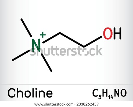 Choline vitamin-like essential nutrien molecule. It is Vitamin B4. Skeletal chemical formula. Vector illustration