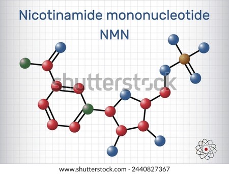Nicotinamide mononucleotide, NMN molecule. It is naturally anti-aging metabolite, precursor of NAD+. Molecule model. Sheet of paper in a cage. Vector illustration