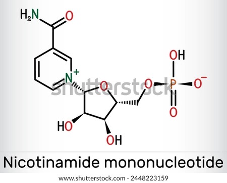 Nicotinamide mononucleotide, NMN molecule. It is naturally anti-aging metabolite, precursor of NAD+. Skeletal chemical formula. Vector illustration