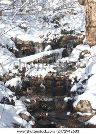 Similar – Image, Stock Photo Forest path in winter with mud and large puddles in which the trees are reflected