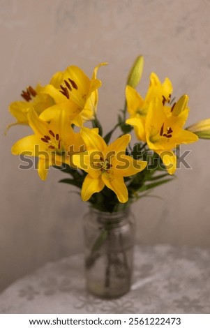 Similar – Image, Stock Photo bright yellow lily blossom