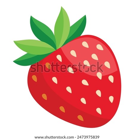 Strawberry Vector Illustration high quality