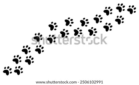 The trail of a pet's paw prints. Silhouette of a kitten's paw. Puppy's footprint, tiger's paw print. The outline of a cat's stride. Isolated on a white background.