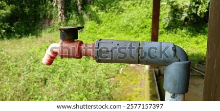 Similar – Image, Stock Photo Cock locked in a cage cock