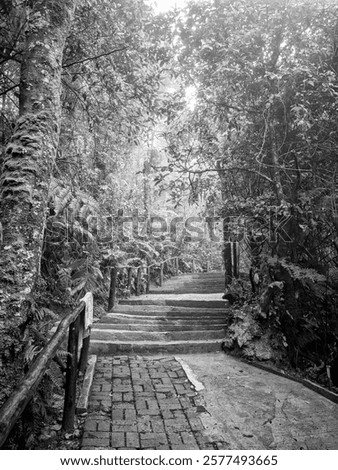 Similar – Image, Stock Photo Path through overgrown stone gate