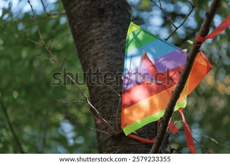 Similar – Image, Stock Photo Kite caught on tree kites