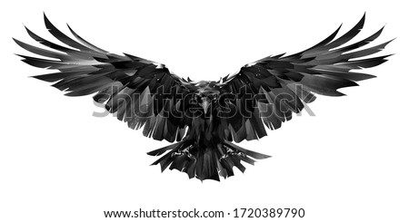 painted raven bird in flight on a white background