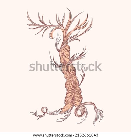 Tree from a braid of hair. A loose braid cut off hair. Graphic, vector illustration.