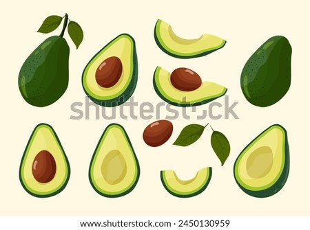 Avocado set. Bright green whole fruit , half, slice, with bone. Products for healthy diet. Vector flat illustration on isolated light background.