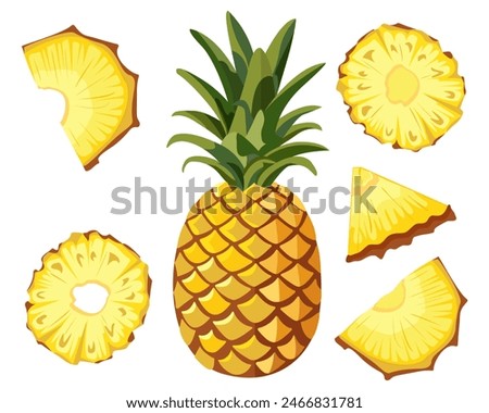 Vector image of pineapple and sliced pineapple slices on isolated white background. Citrus fruits. Set of icons Ripe and delicious product.