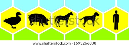 Graphic pictograms of animals - duck, pig, horse, dog and human