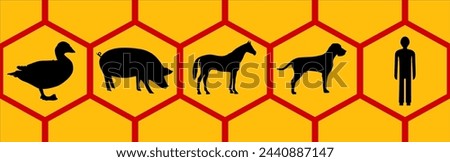 Graphic pictograms of animals - duck, pig, horse, dog and human