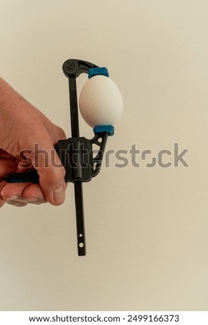 Similar – Image, Stock Photo Egg in a clamp. Strong organic egg concept. Concept of strength