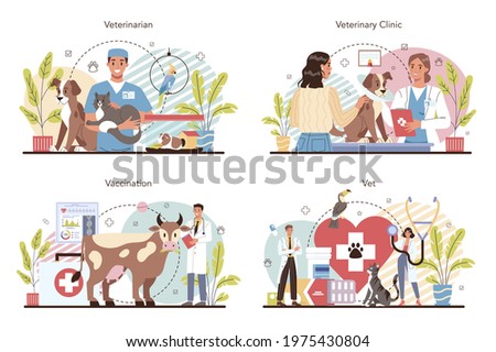 Pet veterinarian concept set. Veterinary doctor checking and treating animal. Idea of pet care. Animal medical treatment and vaccination. Vector flat illustration